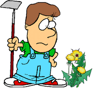 A Semente Entre Espinhos - Acautelai-vos