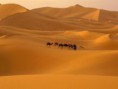 Levado ao Deserto